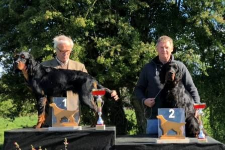 de la Haute Bailly - Oxbow de la Haute Bailly Meilleur Jeune Mâle Nationale d'Elevage 2019