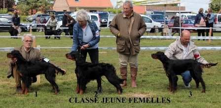 de la Haute Bailly - Oak de la Haute Bailly Meilleure Jeune Femelle Nationale Elevage 2019