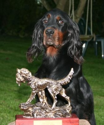 de la Haute Bailly - Trophée René Ranson pour Diva II de la Haute Bailly