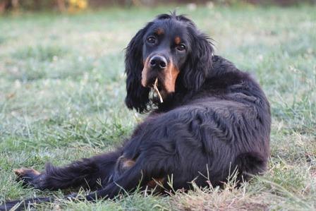 Gussy de la Haute Bailly